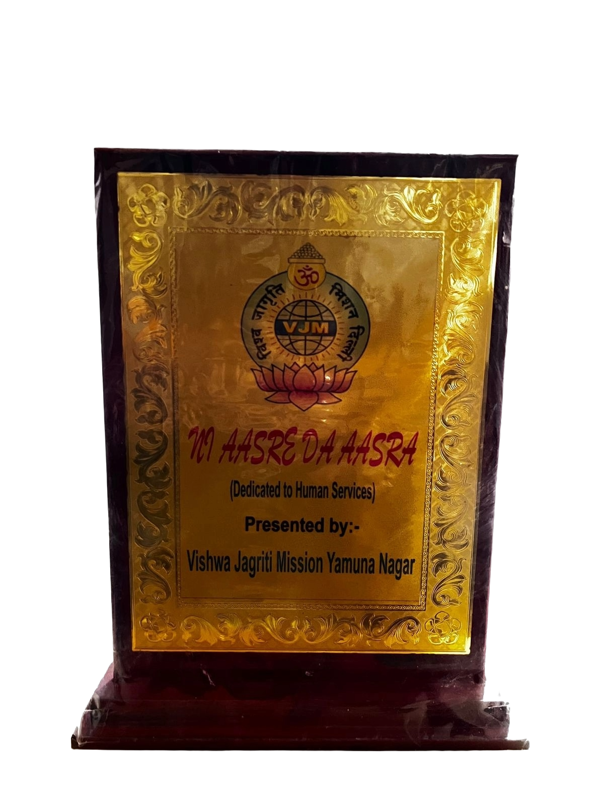 Vishwa Jagriti Mission Yamuna Nagar award