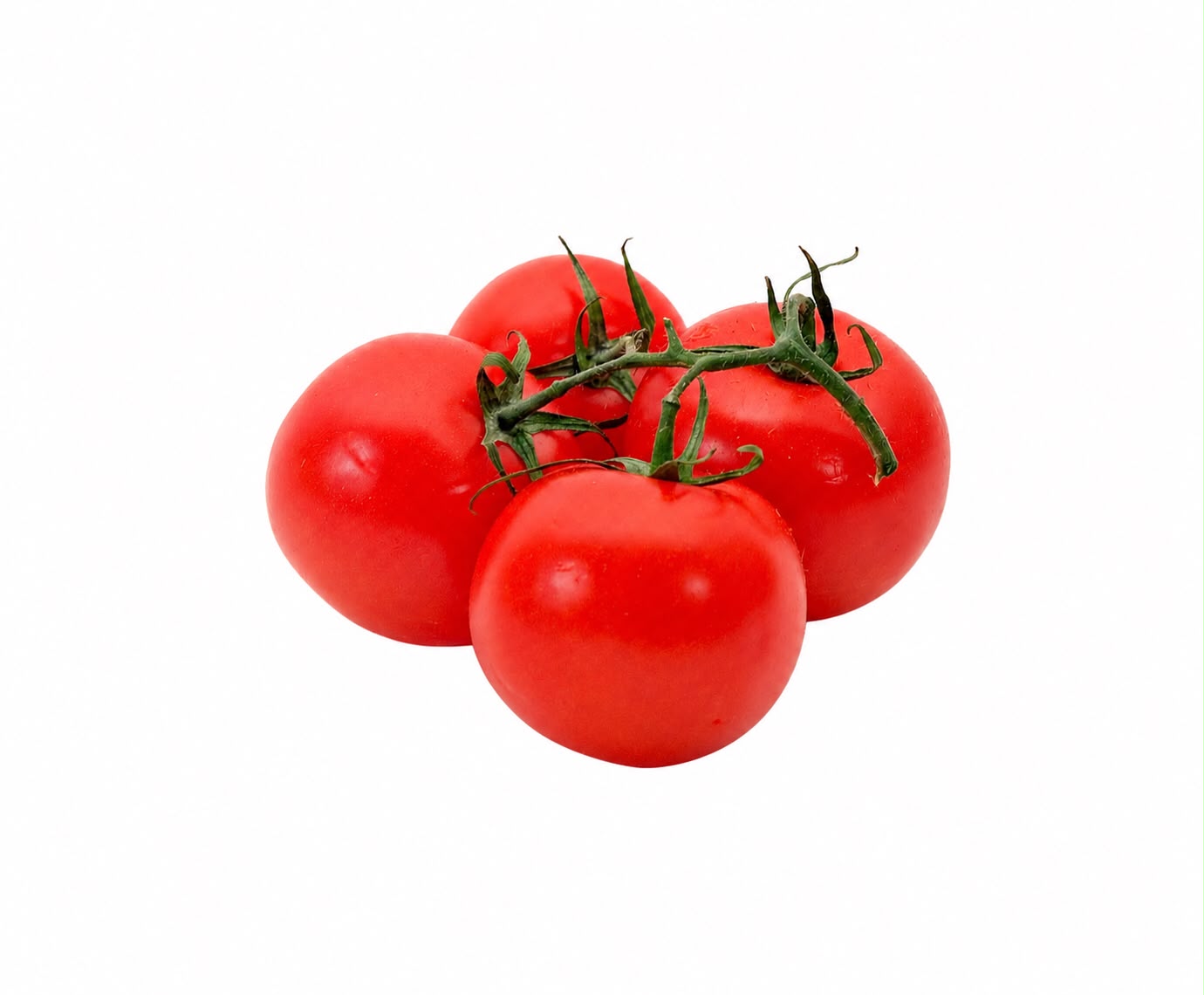 Tomato 5kg